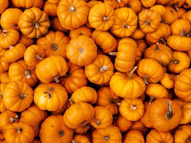 Обои еда, овощи, тыквы, тыква, food, vegetables, pumpkin разрешение 2304x1536 Загрузить