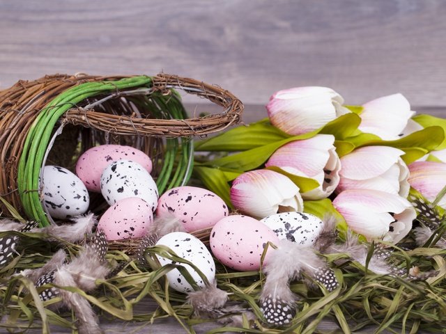 Обои цветы, тюльпаны, пасха, корзинка, яйца крашеные, flowers, tulips, easter, basket, the painted eggs разрешение 7020x4680 Загрузить