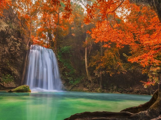 Обои деревья, озеро, лес, водопад, осень, тайланд, тропики, джунгли, trees, lake, forest, waterfall, autumn, thailand, tropics, jungle разрешение 3840x2160 Загрузить