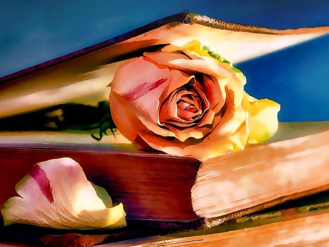 Обои арт, рисунок, цветок, роза, книга, art, figure, flower, rose, book разрешение 2300x1321 Загрузить