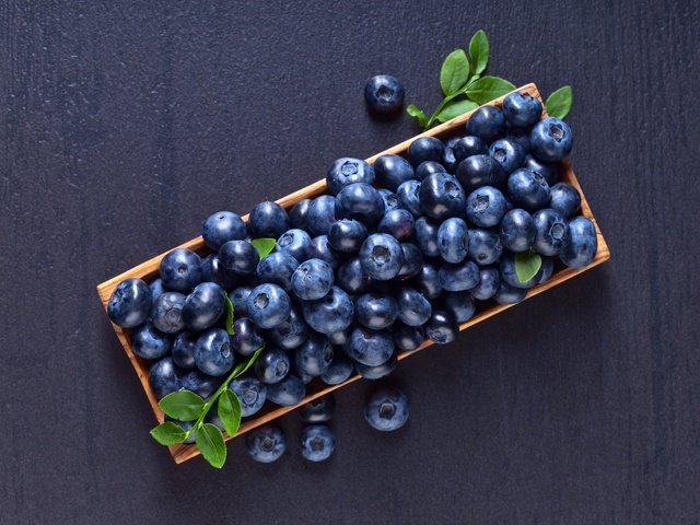 Обои еда, витамины, ягоды, черника, корзинка, черничный, food, vitamins, berries, blueberries, basket, blueberry разрешение 5070x3660 Загрузить