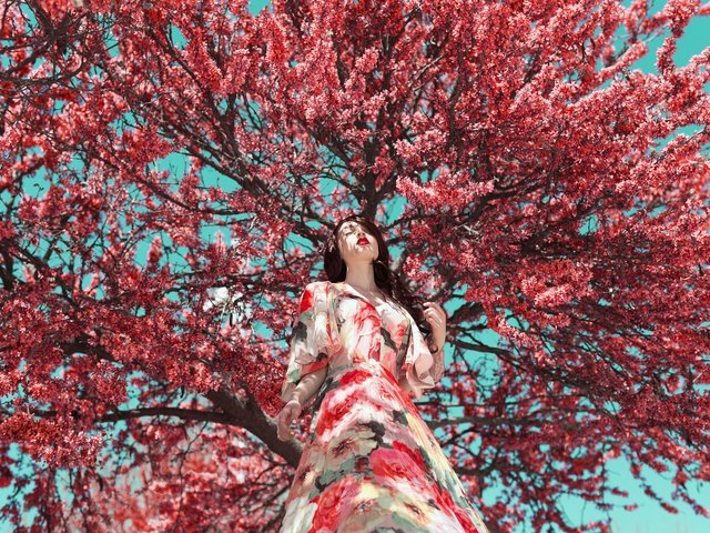 Обои дерево, цветение, девушка, платье, модель, весна, лицо, tree, flowering, girl, dress, model, spring, face разрешение 2048x1365 Загрузить