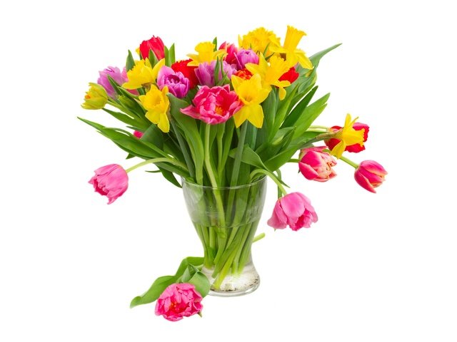 Обои цветы, тюльпаны, белый фон, ваза, нарциссы, flowers, tulips, white background, vase, daffodils разрешение 6400x4000 Загрузить