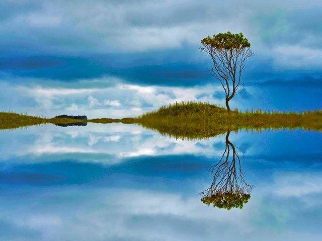 Обои небо, вода, природа, дерево, отражение, пейзаж, the sky, water, nature, tree, reflection, landscape разрешение 2048x1197 Загрузить