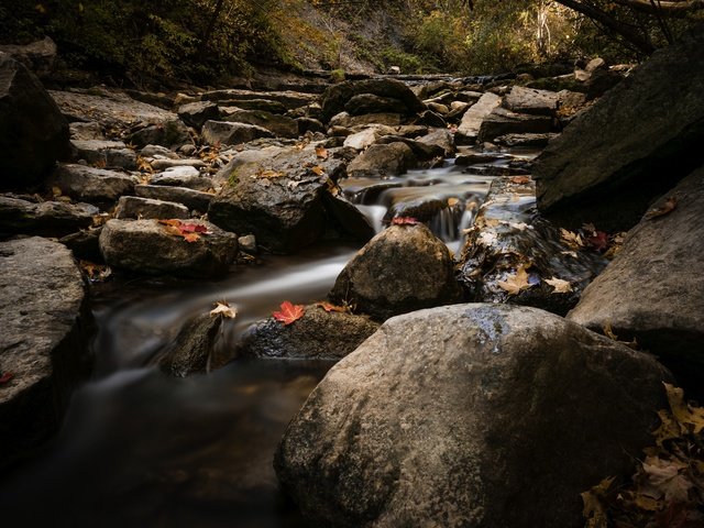 Обои вода, природа, камни, листья, ручей, осень, water, nature, stones, leaves, stream, autumn разрешение 2048x1367 Загрузить