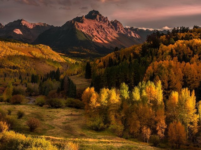 Обои деревья, горы, холмы, лес, тучи, осень, дымка, trees, mountains, hills, forest, clouds, autumn, haze разрешение 2048x1152 Загрузить