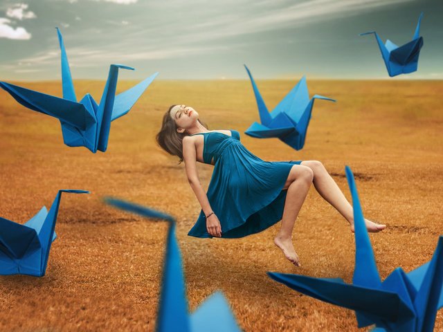 Обои девушка, фон, платье, поле, ножки, журавли, girl, background, dress, field, legs, cranes разрешение 2048x1365 Загрузить