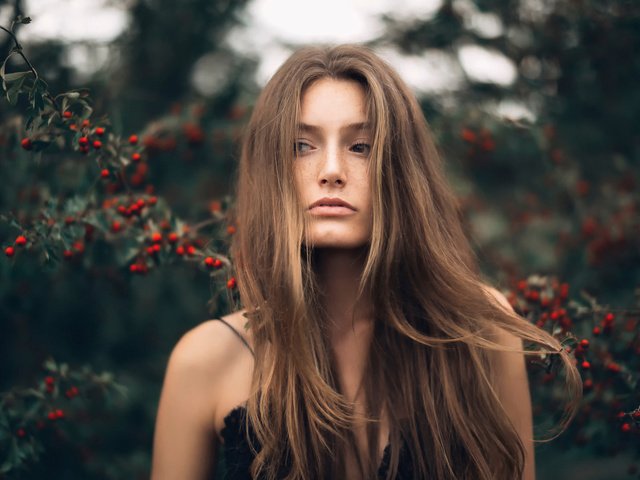 Обои природа, девушка, фон, взгляд, волосы, лицо, ягоды, веснушки, nature, girl, background, look, hair, face, berries, freckles разрешение 1920x1280 Загрузить