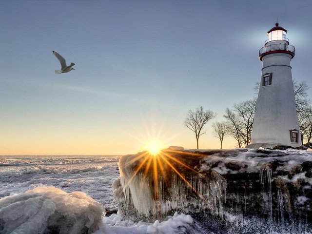 Обои деревья, чайка, солнце, зима, лучи, море, маяк, побережье, лёд, trees, seagull, the sun, winter, rays, sea, lighthouse, coast, ice разрешение 2703x1800 Загрузить