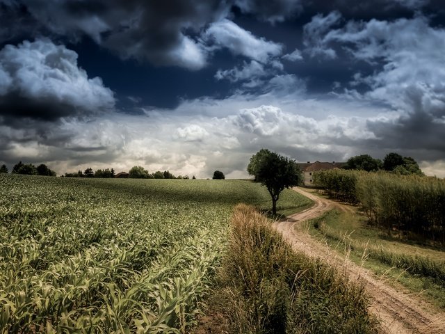 Обои небо, дорога, облака, деревья, природа, поле, the sky, road, clouds, trees, nature, field разрешение 2048x1152 Загрузить