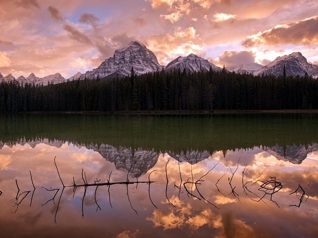 Обои облака, озеро, горы, лес, отражение, коряга, clouds, lake, mountains, forest, reflection, snag разрешение 1920x1200 Загрузить