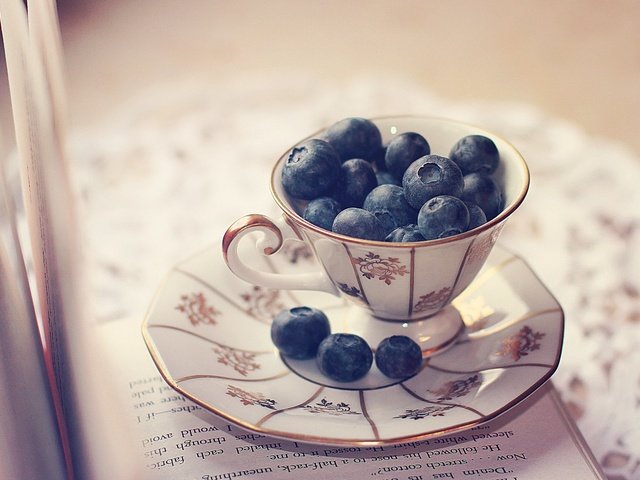 Обои блюдце, ягоды, чашка, черника, салфетка, книга, страницы, saucer, berries, cup, blueberries, napkin, book, page разрешение 2560x1600 Загрузить