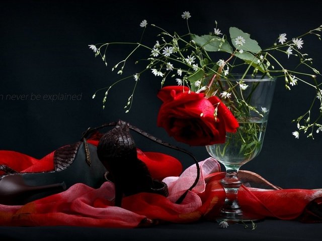 Обои цветок, роза, бокал, ткань, черный фон, каблуки, туфли, шарф, flower, rose, glass, fabric, black background, heels, shoes, scarf разрешение 1921x1080 Загрузить