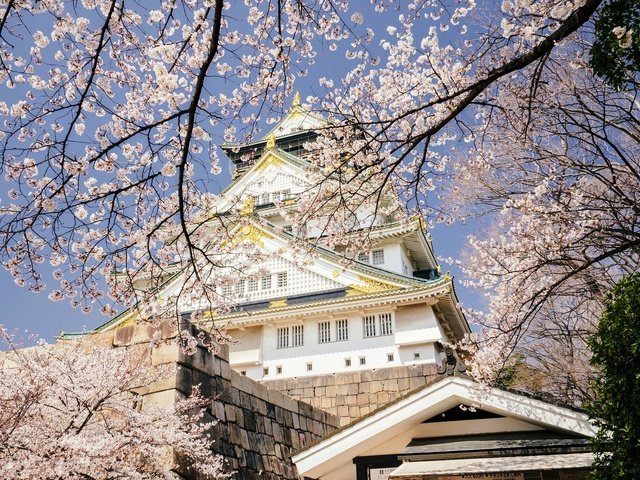 Обои небо, цветение, япония, весна, дворец, осака, the sky, flowering, japan, spring, palace, osaka разрешение 1920x1282 Загрузить