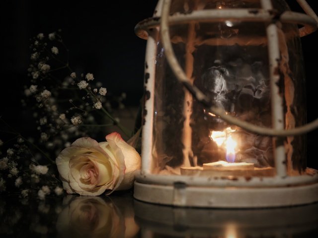 Обои стиль, гипсофила, цветок, роза, огонь, лампа, бутон, фонарь, свеча, style, gypsophila, flower, rose, fire, lamp, bud, lantern, candle разрешение 2048x1365 Загрузить