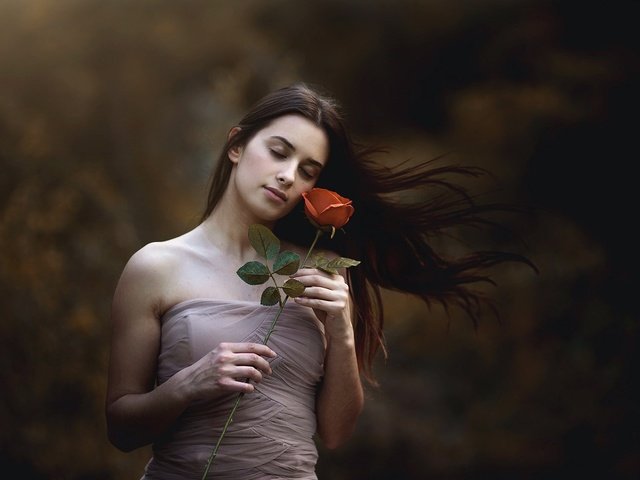 Обои девушка, платье, цветок, роза, волосы, закрытые глаза, girl, dress, flower, rose, hair, closed eyes разрешение 2047x1126 Загрузить