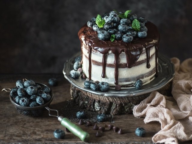 Обои ягоды, черника, шоколад, сладкое, торт, десерт, berries, blueberries, chocolate, sweet, cake, dessert разрешение 1920x1200 Загрузить