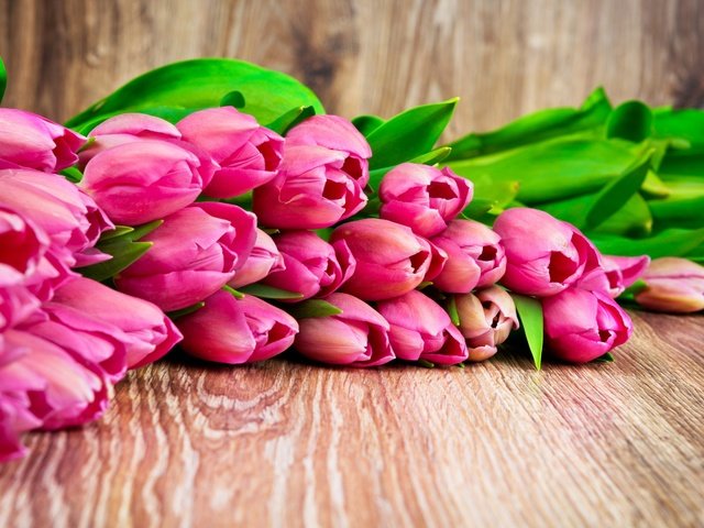 Обои цветы, бутоны, весна, тюльпаны, flowers, buds, spring, tulips разрешение 2880x1800 Загрузить