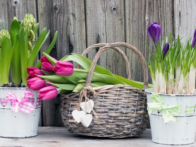 Обои цветы, весна, букет, тюльпаны, сердечки, корзинка, крокусы, гиацинты, flowers, spring, bouquet, tulips, hearts, basket, crocuses, hyacinths разрешение 2880x1800 Загрузить
