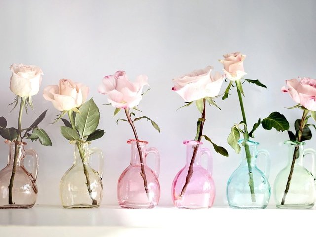 Обои цветы, розы, разноцветные, стекло, вазы, кувшины, flowers, roses, colorful, glass, vases, pitchers разрешение 2048x1319 Загрузить