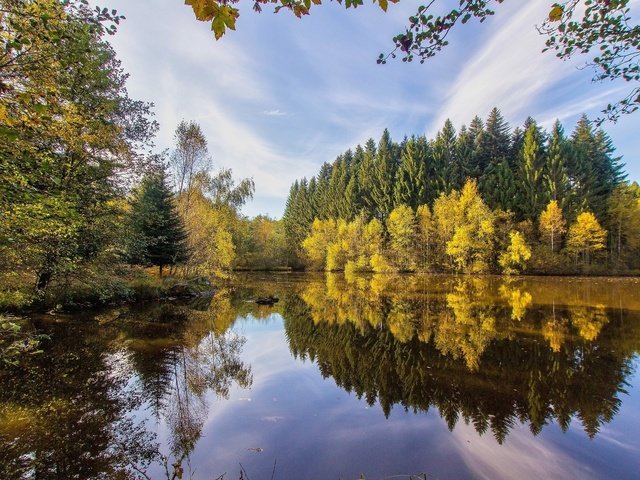 Обои небо, озеро, река, лес, the sky, lake, river, forest разрешение 1920x1200 Загрузить