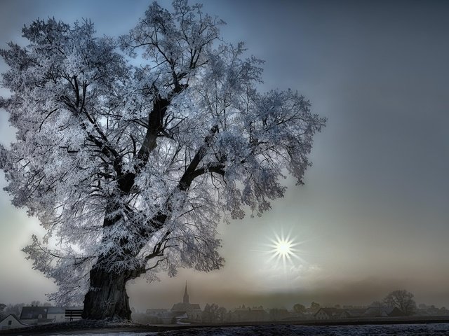 Обои солнце, природа, дерево, закат, туман, бавария, регенсбург, ramerk_de, the sun, nature, tree, sunset, fog, bayern, regensburg разрешение 2048x1273 Загрузить