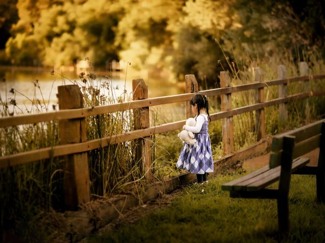 Обои природа, забор, дети, девочка, игрушка, скамейка, ребенок, косички, nature, the fence, children, girl, toy, bench, child, braids разрешение 2500x1563 Загрузить