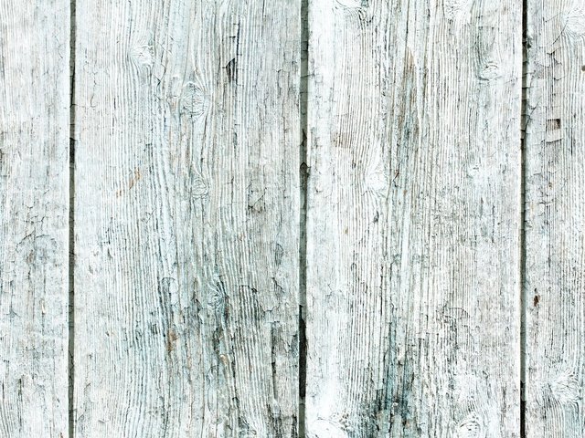 Обои дерево, текстура, доски, белая, деревянная, tree, texture, board, white, wooden разрешение 1920x1280 Загрузить