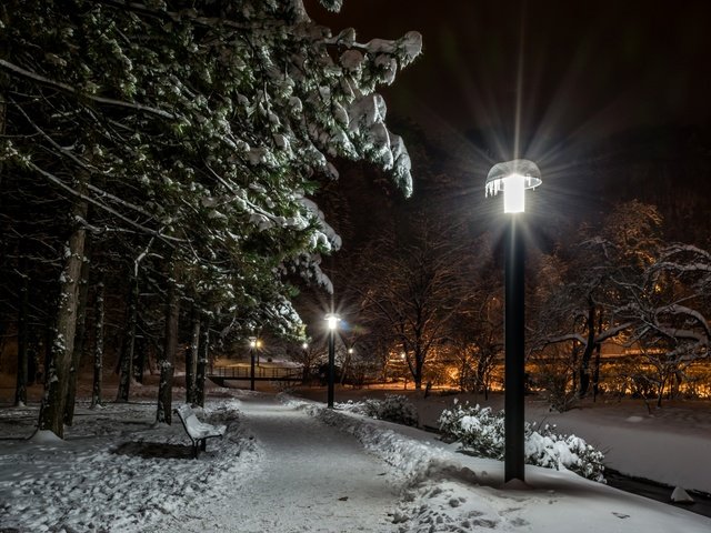 Обои ночь, фонари, природа, зима, парк, хорватия, загреб, уличный фонарь, night, lights, nature, winter, park, croatia, zagreb разрешение 2880x1800 Загрузить