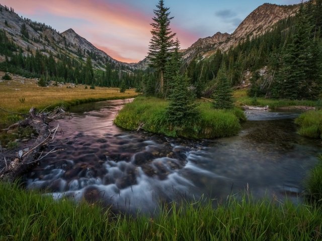 Обои трава, река, горы, природа, лес, поток, grass, river, mountains, nature, forest, stream разрешение 1920x1200 Загрузить