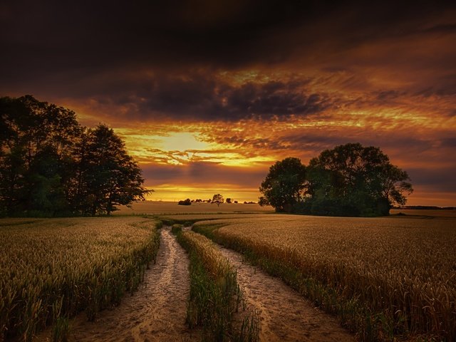 Обои небо, дорога, облака, деревья, природа, закат, поле, горизонт, the sky, road, clouds, trees, nature, sunset, field, horizon разрешение 2048x1364 Загрузить