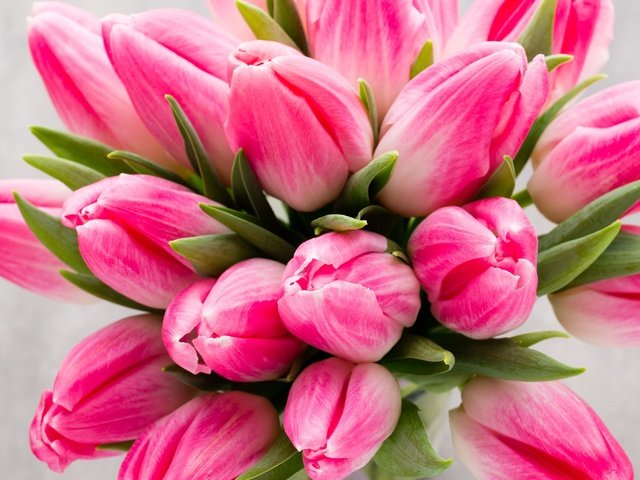Обои цветы, букет, тюльпаны, розовые цветы, flowers, bouquet, tulips, pink flowers разрешение 1920x2880 Загрузить