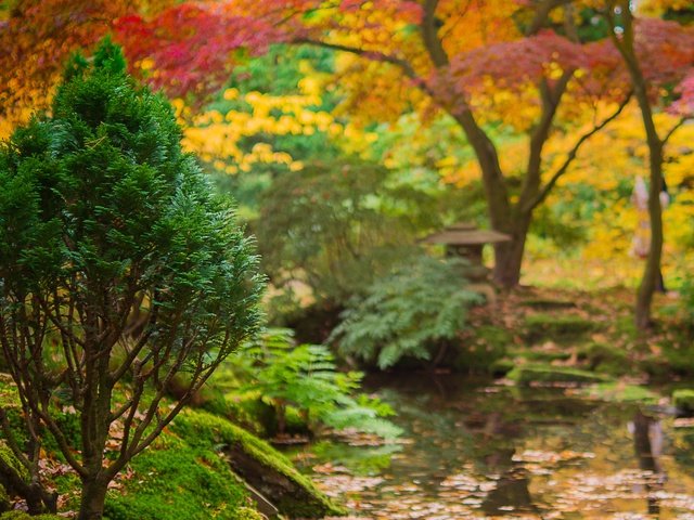 Обои деревья, вода, река, ручей, осень, япония, сад, trees, water, river, stream, autumn, japan, garden разрешение 4199x2796 Загрузить