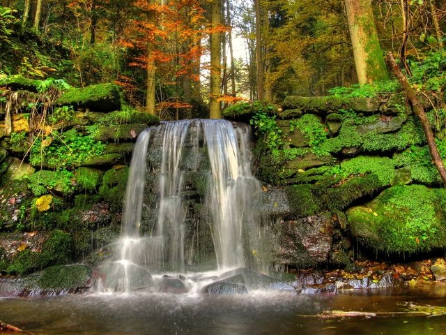 Обои вода, поток, природа, мох, камни, растительность, лес, листья, пейзаж, водопад, осень, water, stream, nature, moss, vegetation, stones, forest, leaves, landscape, waterfall, autumn разрешение 2560x1600 Загрузить