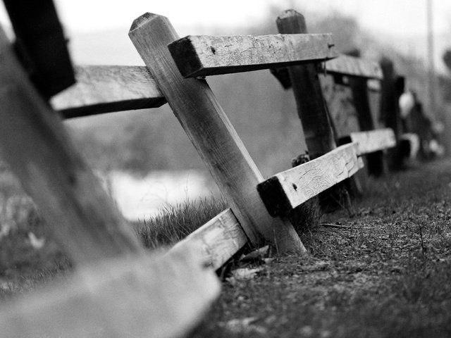 Обои забор, чёрно-белое, доски, старый, деревянный, the fence, black and white, board, old, wooden разрешение 2280x1612 Загрузить
