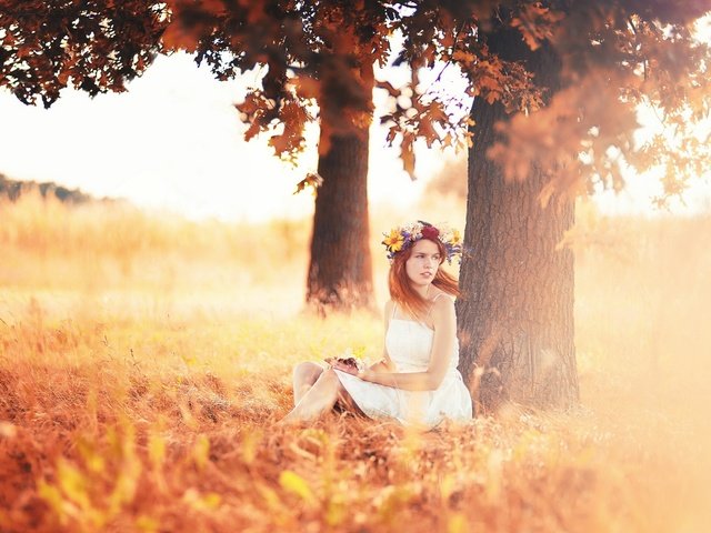 Обои дерево, венок, листья, белое платье, девушка, рыжеволосая, настроение, сидя, поза, взгляд, осень, лицо, tree, wreath, leaves, white dress, girl, redhead, mood, sitting, pose, look, autumn, face разрешение 2560x1600 Загрузить