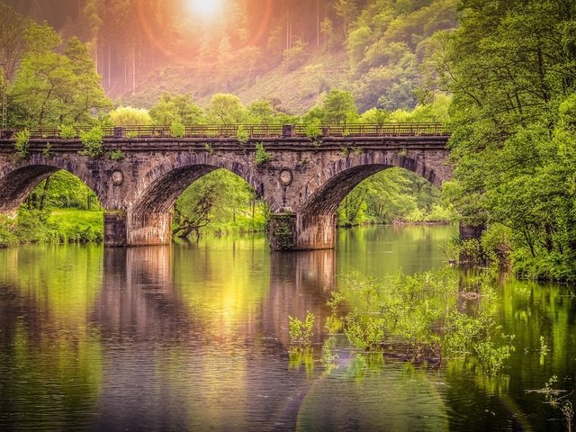 Обои вода, река, природа, лес, отражение, мост, солнечный свет, каменный мост, water, river, nature, forest, reflection, bridge, sunlight, stone bridge разрешение 2560x1440 Загрузить