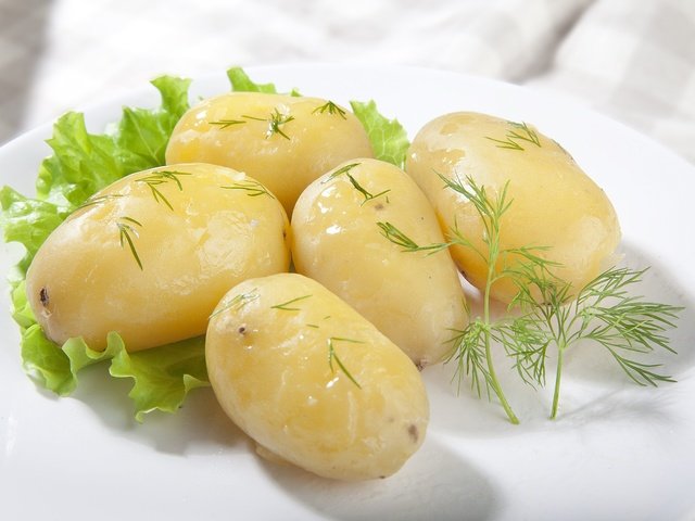 Обои масло, укроп, картошка, картофель, oil, dill, potatoes разрешение 5616x3744 Загрузить