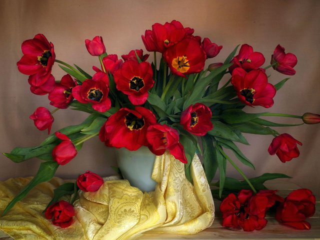 Обои цветы, vera-pawluhina, стол, ткань, букет, тюльпаны, ваза, натюрморт, композиция, flowers, table, fabric, bouquet, tulips, vase, still life, composition разрешение 2560x1600 Загрузить