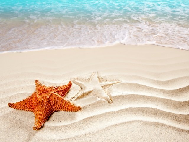 Обои волны, море, песок, пляж, морская звезда, wave, sea, sand, beach, starfish разрешение 4914x3368 Загрузить