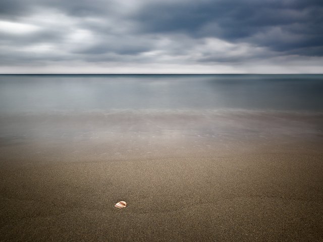 Обои пейзаж, море, песок, пляж, ракушка, landscape, sea, sand, beach, shell разрешение 1920x1200 Загрузить