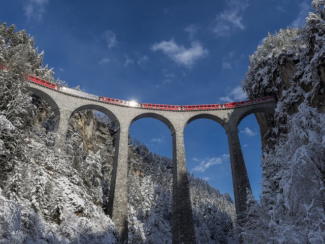 Обои природа, лес, зима, пейзаж, мост, поезд, nature, forest, winter, landscape, bridge, train разрешение 1920x1200 Загрузить