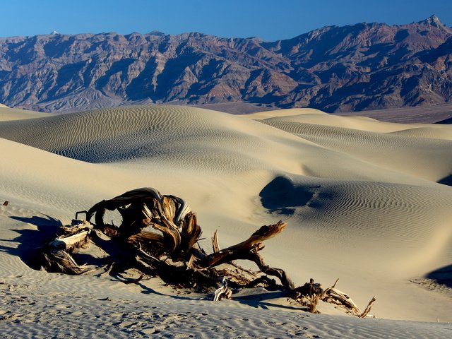 Обои горы, пейзаж, песок, пустыня, коряга, дюны, mountains, landscape, sand, desert, snag, dunes разрешение 3840x2400 Загрузить