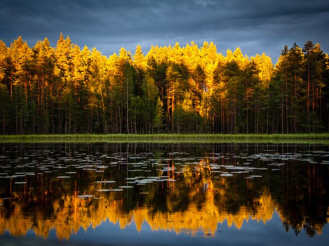 Обои небо, деревья, озеро, природа, лес, отражение, осень, the sky, trees, lake, nature, forest, reflection, autumn разрешение 4188x2781 Загрузить