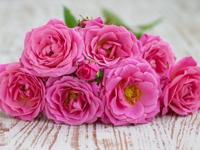 Обои цветы, розы, лепестки, букет, flowers, roses, petals, bouquet разрешение 2880x1800 Загрузить