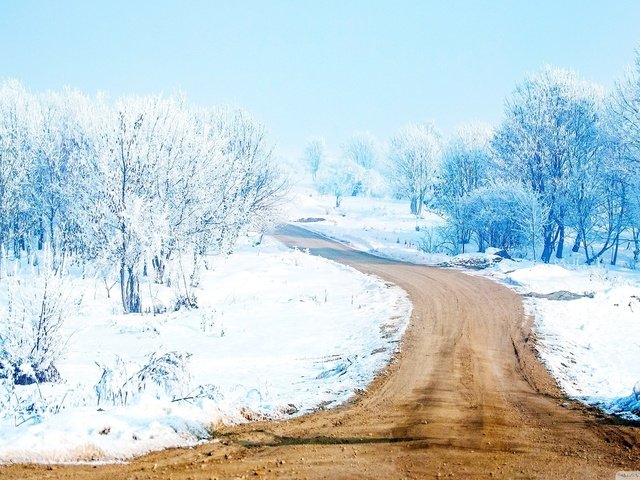 Обои дорога, деревья, снег, лес, зима, путь, road, trees, snow, forest, winter, the way разрешение 2560x1440 Загрузить