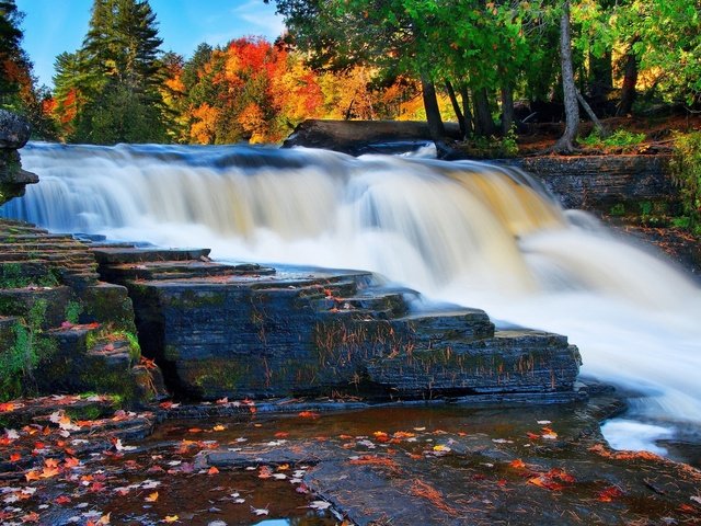 Обои лес, водопад, осень, forest, waterfall, autumn разрешение 2560x1600 Загрузить
