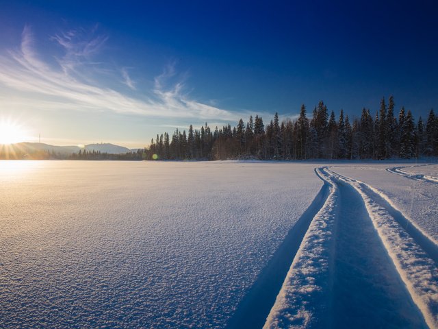 Обои снег, природа, лес, зима, дорожка, финляндия, snow, nature, forest, winter, track, finland разрешение 2000x1333 Загрузить