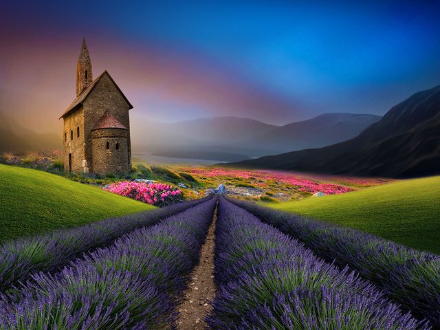 Обои природа, пейзаж, поле, лаванда, замок, дом, nature, landscape, field, lavender, castle, house разрешение 1920x1200 Загрузить