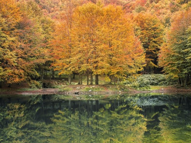 Обои река, природа, лес, отражение, осень, river, nature, forest, reflection, autumn разрешение 1920x1200 Загрузить